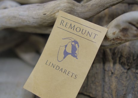 WOLF TOOTH / REMOUNT 22