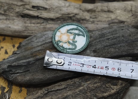 CUB SCOUT PATCH