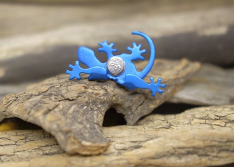 LIZARD