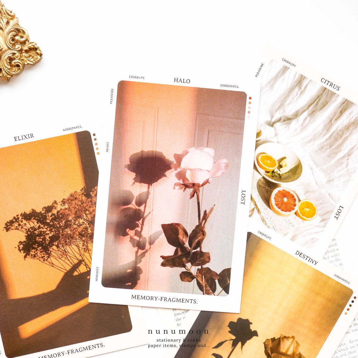 SALE ! 海外 ポストカード 5枚セット [AS536] | nunumoon 