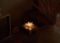 yuki lamp 1