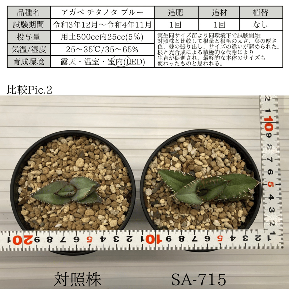 63dd532cd1912306f477829b