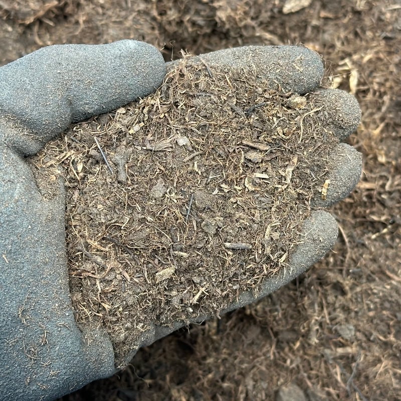 【お問合せ・確認用】植物全般（多肉、球根、水草、熱帯植物等） セット販売日、決めました | コキリノSucculents Life