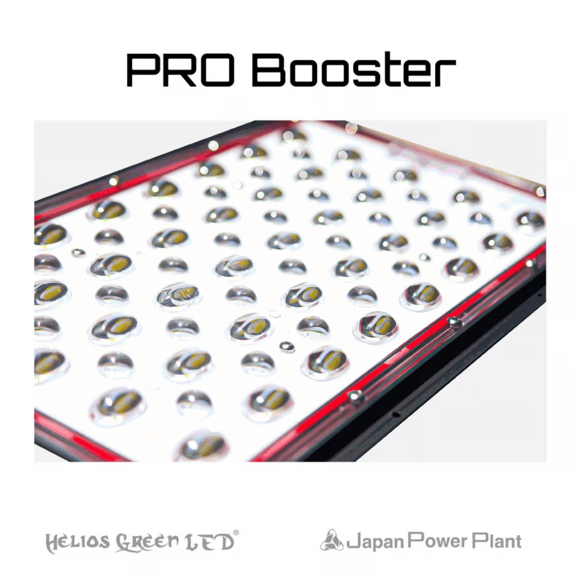 Helios Green LED PRO BOOSTER 101 | S&A PLANT