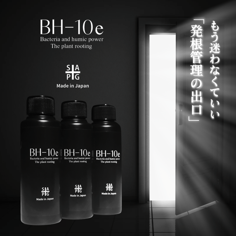 山葵さま複数割引専用　AZラム10kg グレインフリー アレルギーケア ラム＆ポテト | 【公式