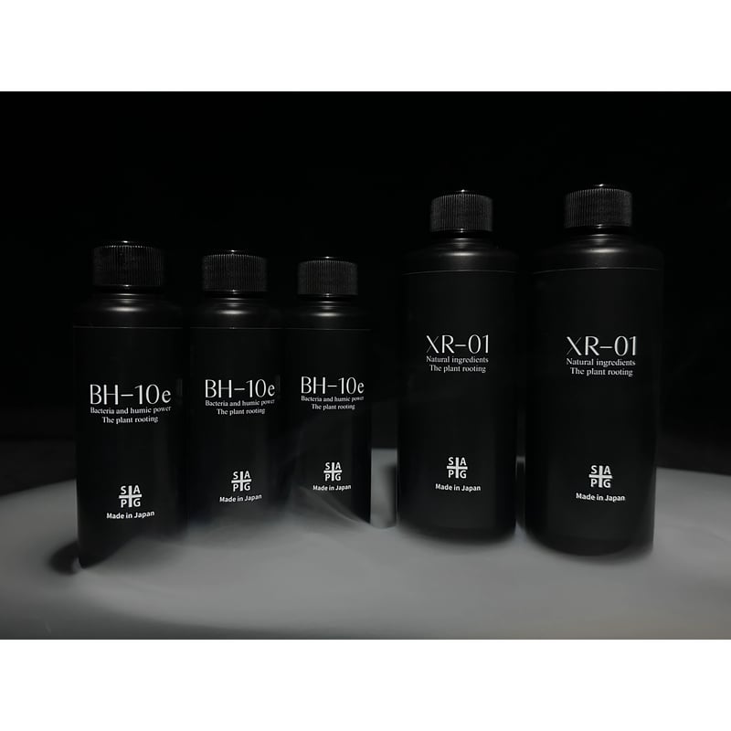 ✴︎発根効き比べセット✴︎ BH-10e × XR-01セット | S&A PLANTS GA