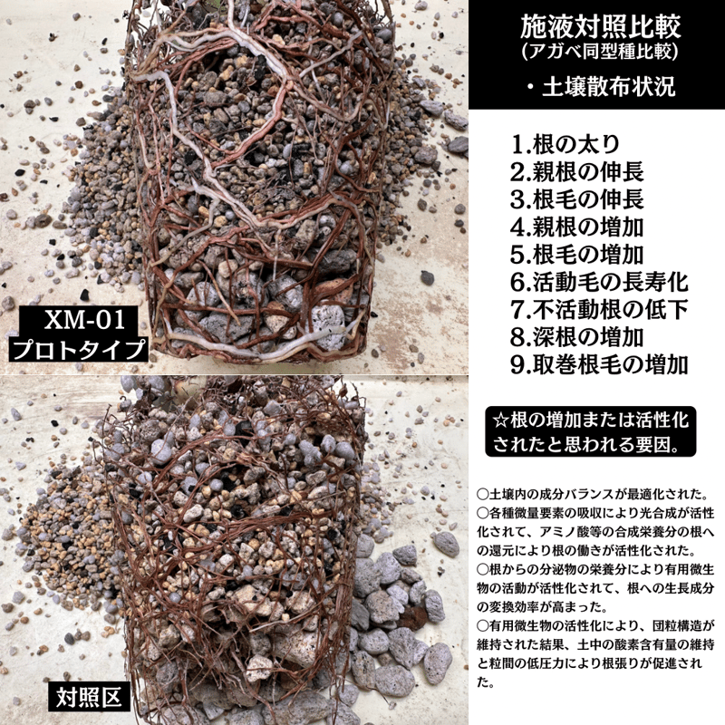 自己主張する植物 楽天市場】【新発売限定1000円オフ】☆楽天1位 日本正規品 植物