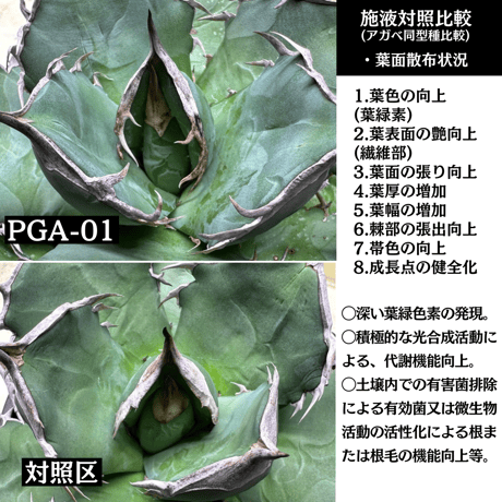✴︎極みローテ✴︎ PGA-01×PGA-02セット