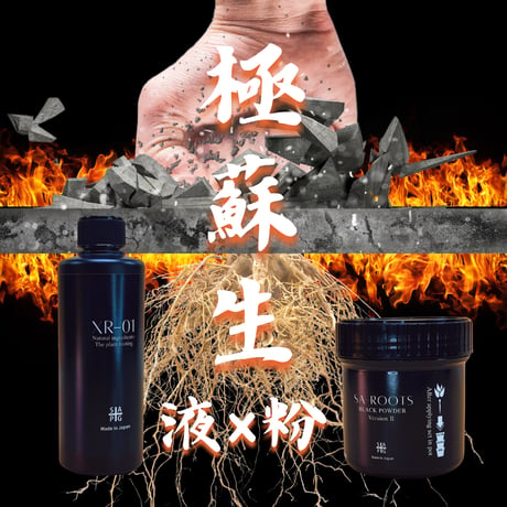 ✴︎極み蘇生✴︎ SA-ROOTS BP Ver.Ⅱ × XR-01セット