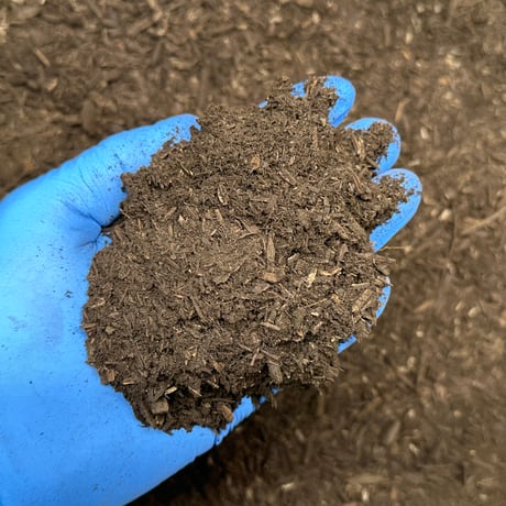 2026 #春夏用 多肉植物・コーデックス専用高性能育成用土 ✴︎SA-GS✴︎ 5ℓ 1〜2体まで