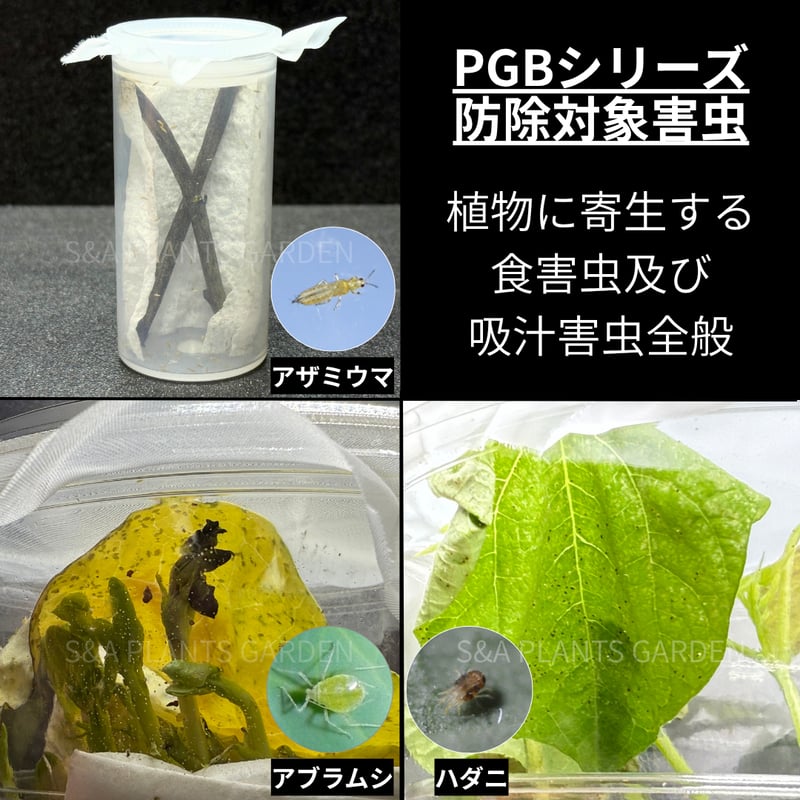 食虫植物　お知らせ用 New 害虫移動抑制型植物保護剤 ✴︎PGB-01✴︎ '土壌用' | S&A