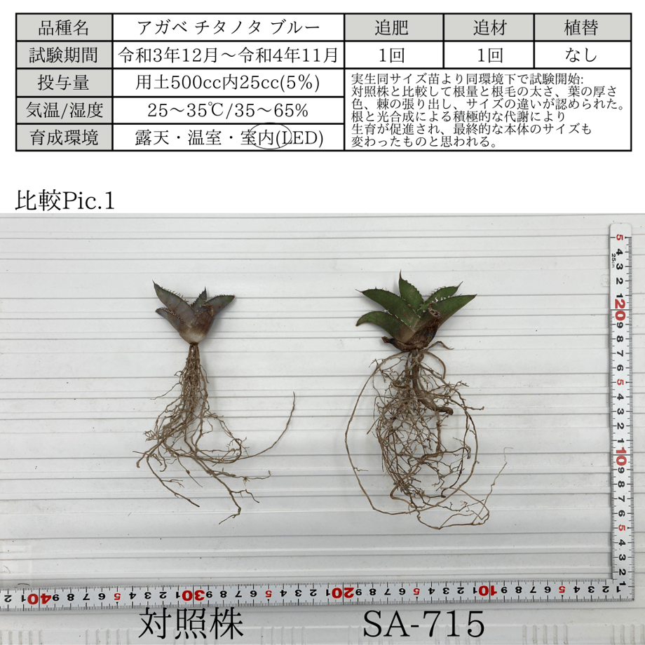 63dd532cd1912306f477829b