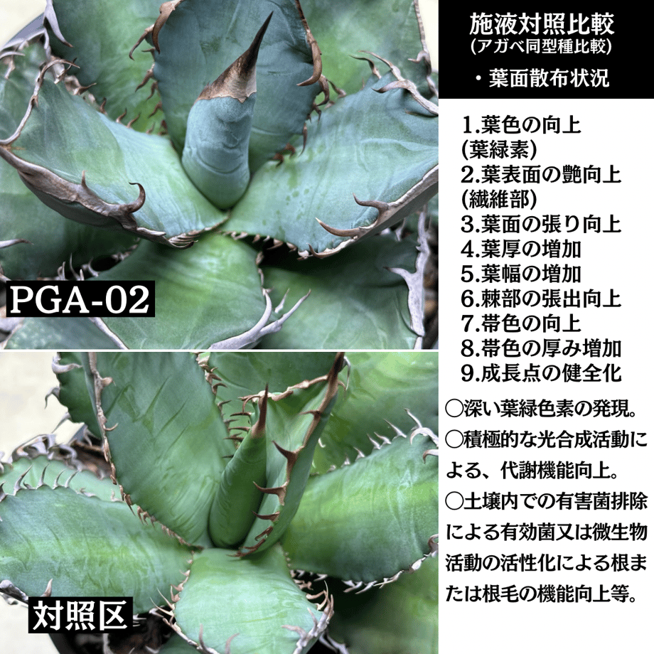 65c7b7568fd8877d60cc4f63