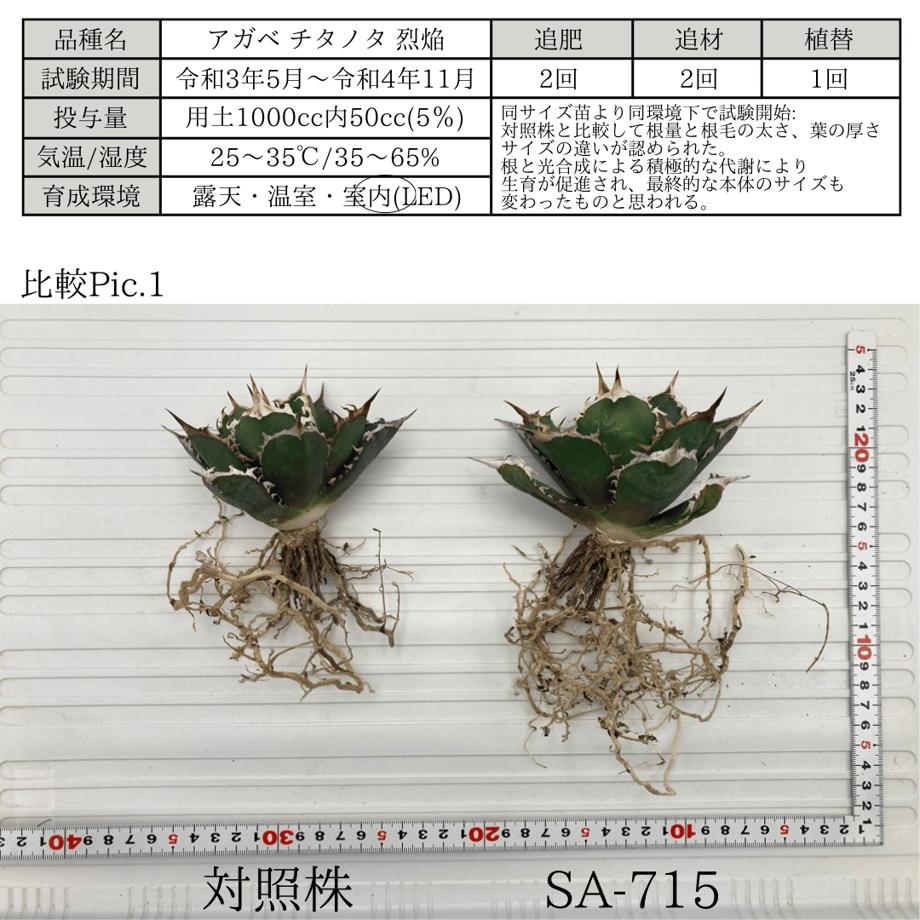 63dd532cd1912306f477829b