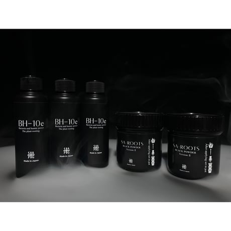 ✴︎至り 異種打撃セット✴︎ BH-10e × SA-ROOTS Ⅱセット