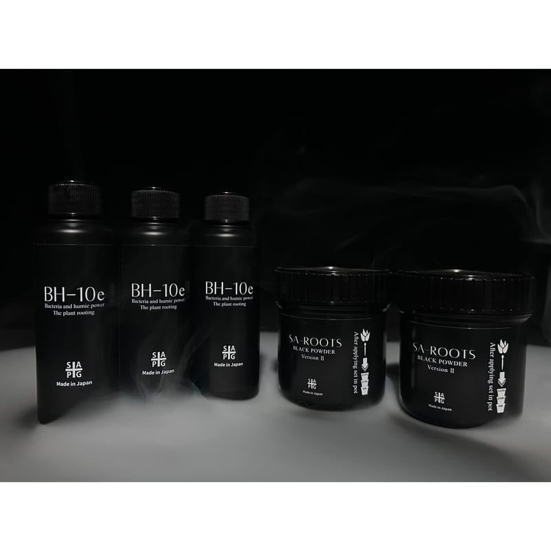 ソウルオブシベリア #1 羽根タイプ ✴︎至り 異種打撃セット✴︎ BH-10e × SA-ROOTS Ⅱセット | S&A