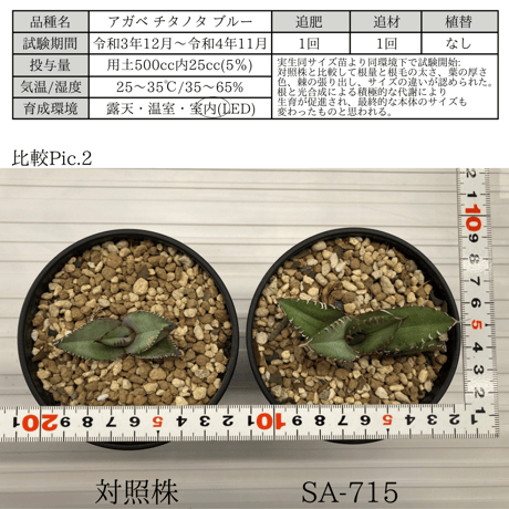 SAオリジナル土壌改良材 SA-715 黒ラベル 800g