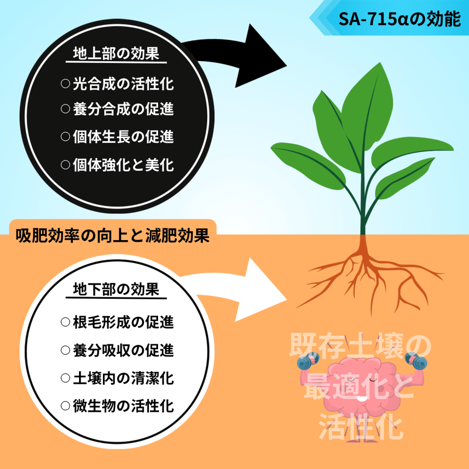 67aac43f5015b20f289f81e0