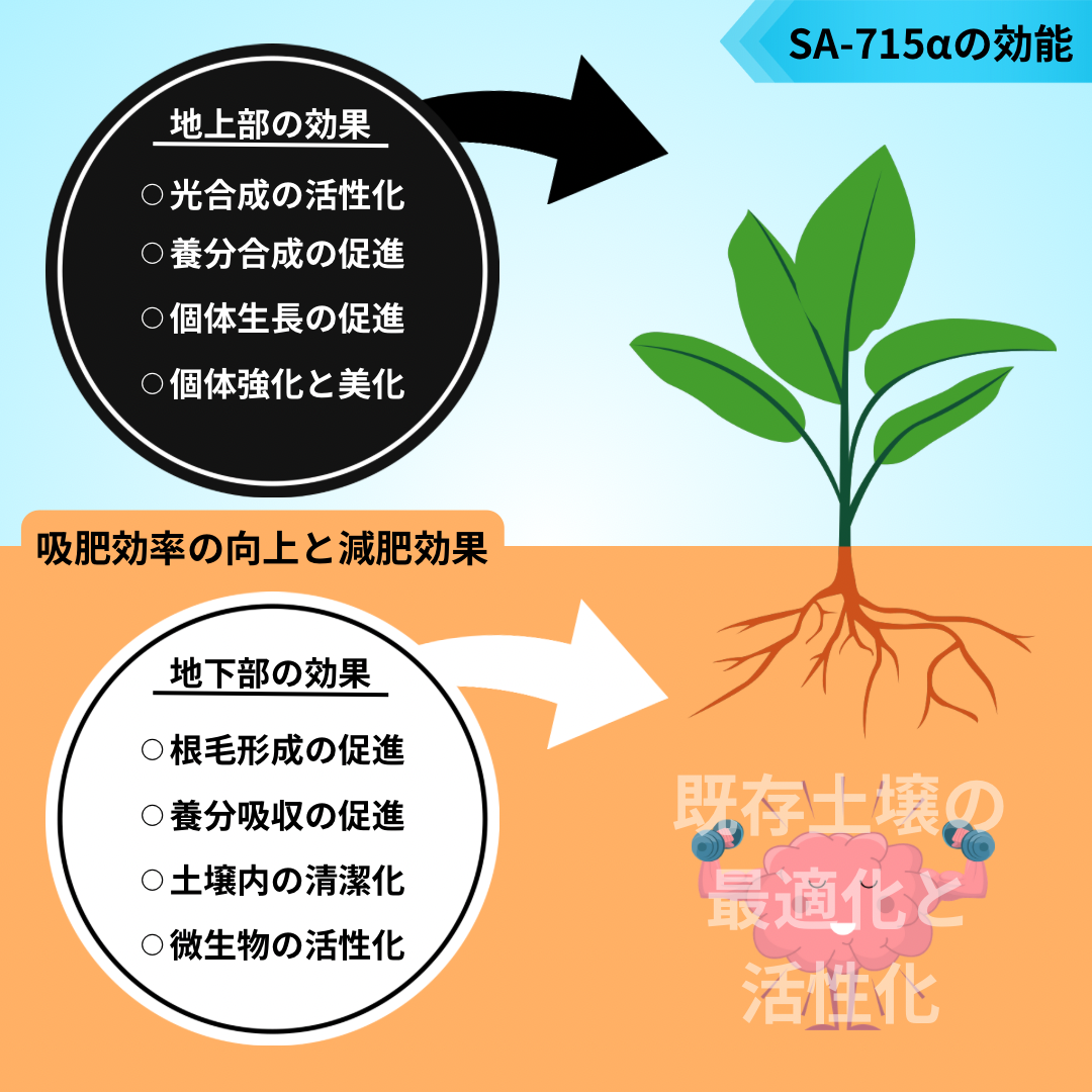 ✴︎自然改✴︎ '零' SA-715α×SA-BCSαセット | S&A PLANTS GARDEN