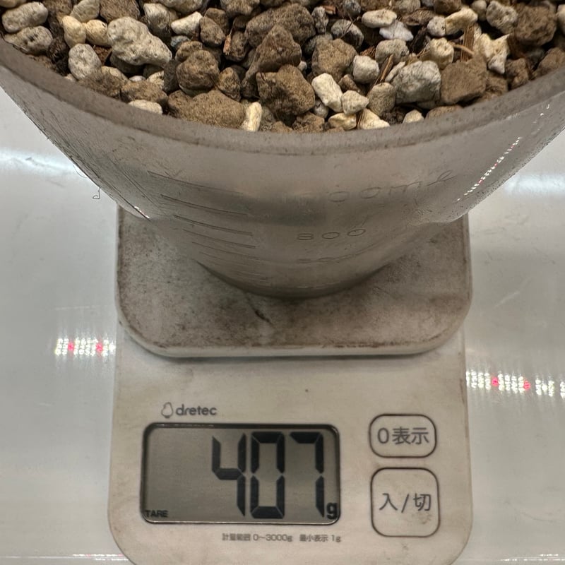 【お問合せ・確認用】植物全般（多肉、球根、水草、熱帯植物等） セット販売日、決めました | コキリノSucculents Life