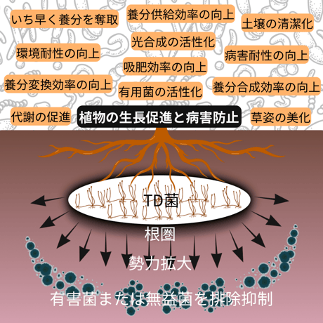 ✴︎自然改✴︎ '壱' SA-715α×SA-BCSα×SAT-81aセット