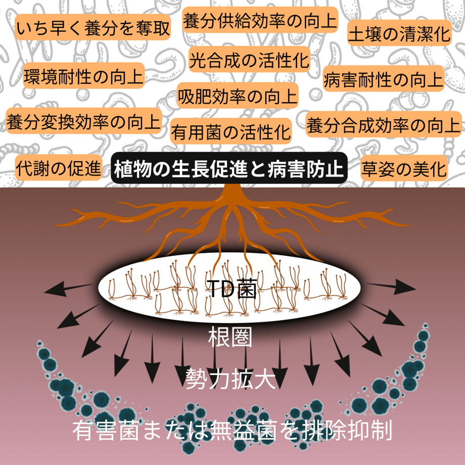 67aac43f5015b20f289f81e0