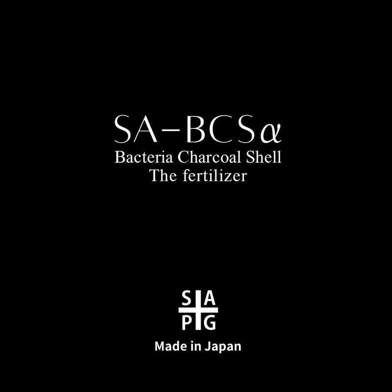✴︎自然改✴︎ '壱' SA-715α×SA-BCSα×SAT-81aセット | S&A PL