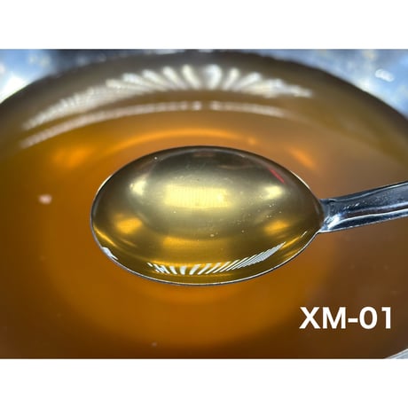 ✴︎極み覚醒✴︎ XR-01×XM-01セット