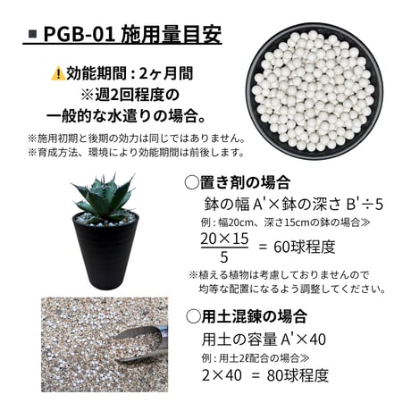 New ✴︎安全地帯セット✴︎ PGB-01 × PGB-02セット