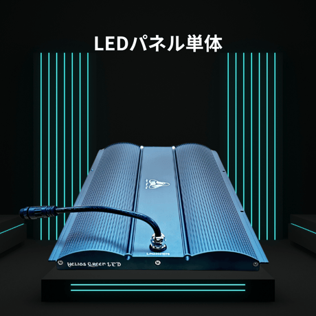 CATEGORY Helios Green LED | S&A PLANTS GARDEN