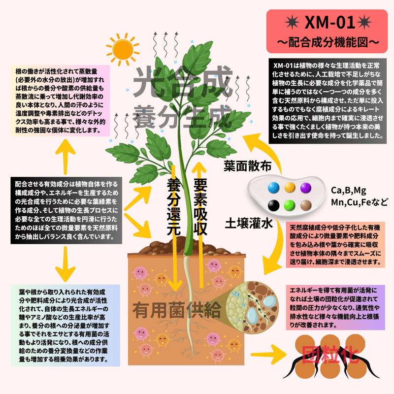 高浸透性要素矯正型植物活力液 ✴︎XM-01✴︎ | S&A PLANTS GARDEN