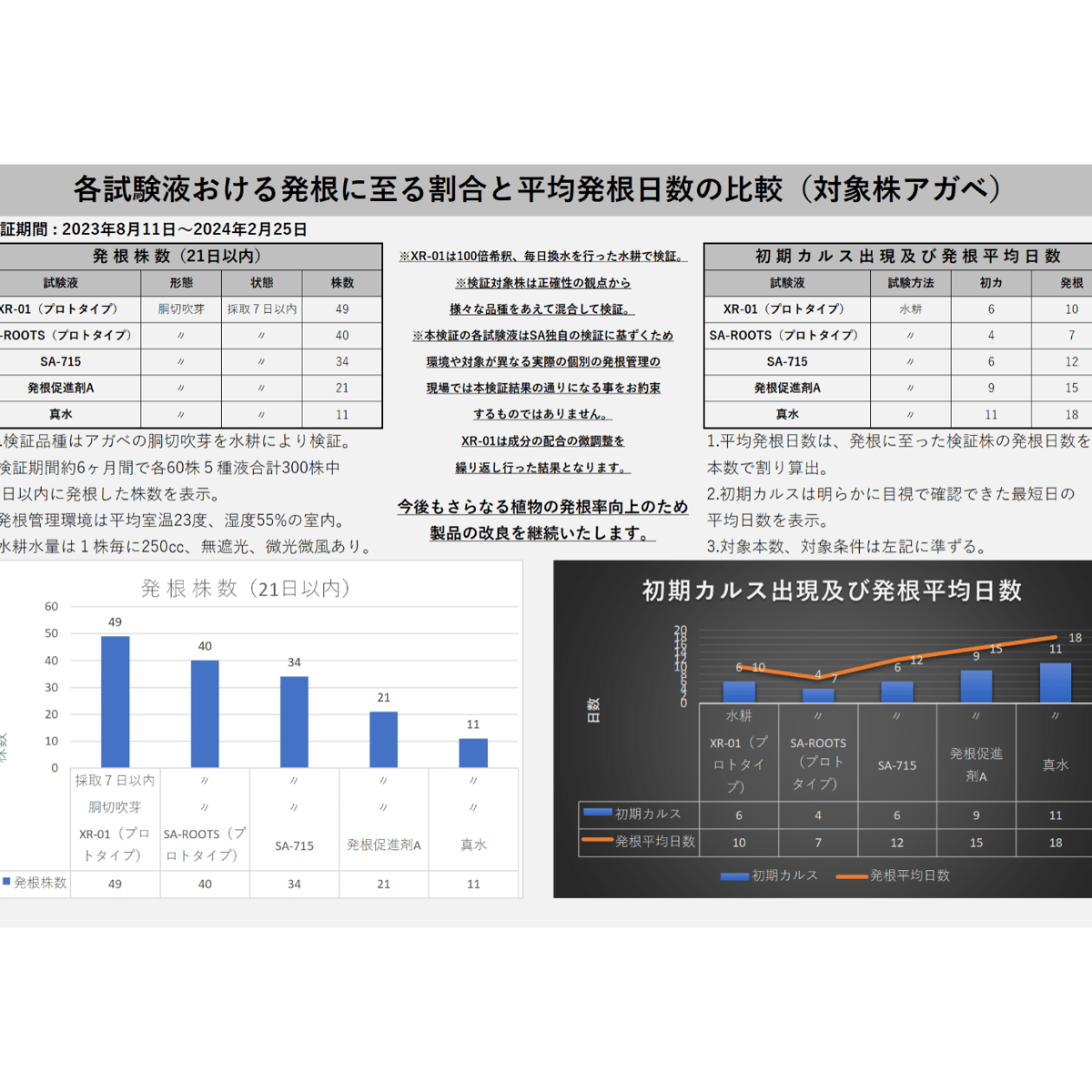 高浸透性ホルモン誘導型発根促進剤 ✴︎XR-01✴︎ | S&A PLANTS GARDEN