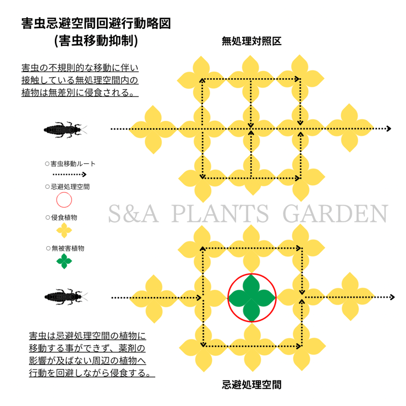 田園環境の害虫・益虫生態図鑑【中古(ほぼ新品)】 田園環境の害虫・益虫生態図鑑 | 江村 薫 |本 | 通販 | Amazon