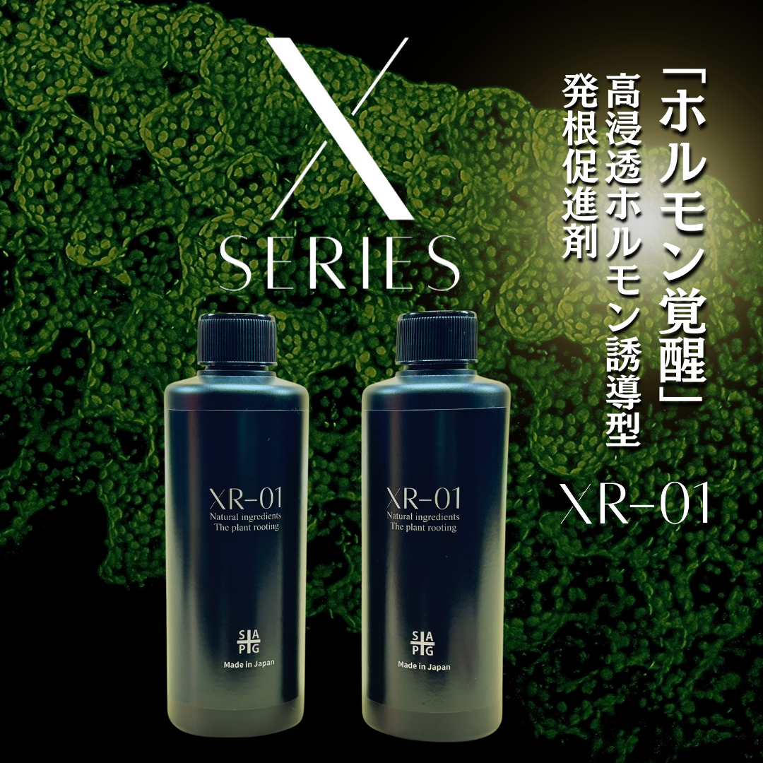 高浸透性ホルモン誘導型発根促進剤 ✴︎XR-01✴︎ | S&A PLANTS 高浸透性ホルモン誘導型発根促進剤 ✴︎XR-01✴︎ | S&A PLANTS