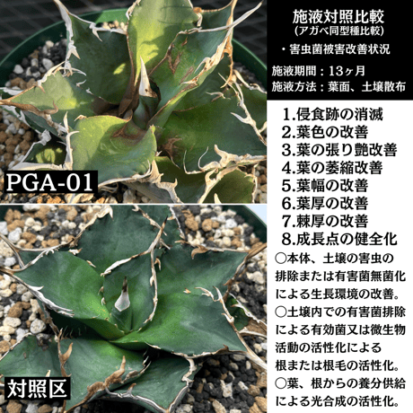 対害虫植物保護活力液 ✴︎PGA-01✴︎ '対成虫効果'