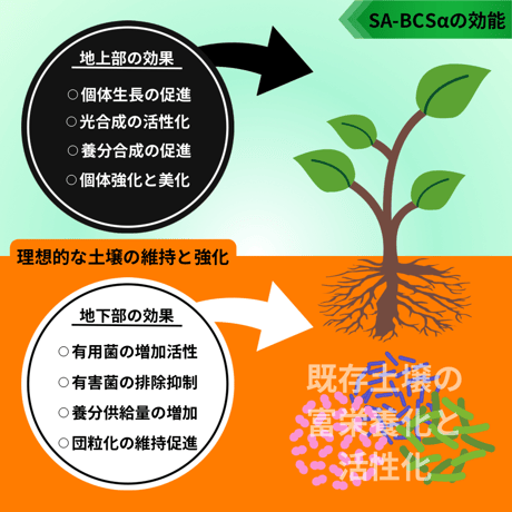 ✴︎自然改✴︎ '零' SA-715α×SA-BCSαセット