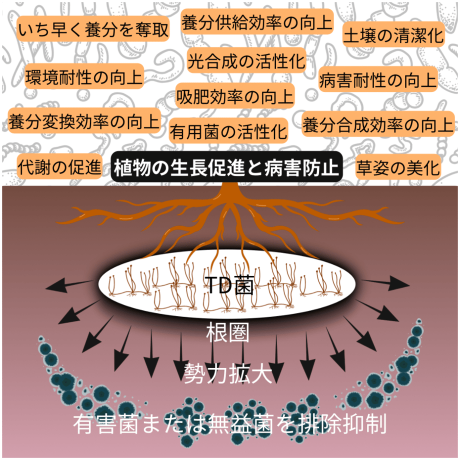 67a6ee232514e82b91b5f49a