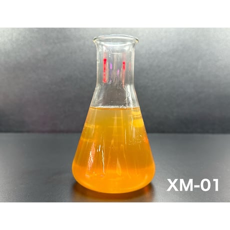 ✴︎極み覚醒✴︎ XR-01×XM-01セット