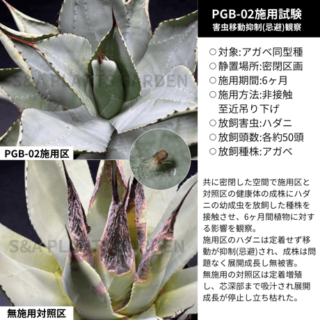 New 害虫移動抑制型植物保護剤 ✴︎PGB-02✴︎ '空間用'
