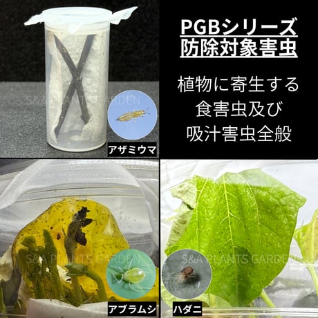 New ✴︎安全地帯セット✴︎ PGB-01 × PGB-02セット