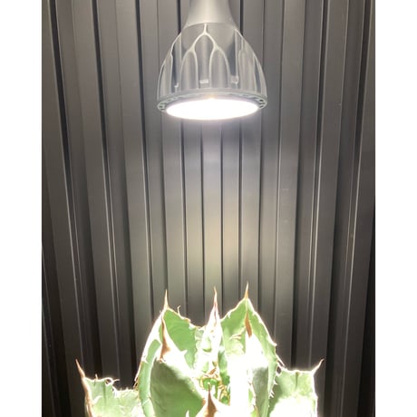 SAオリジナル 植物育成ライト用 SAフレキシブルアームクリップソケット