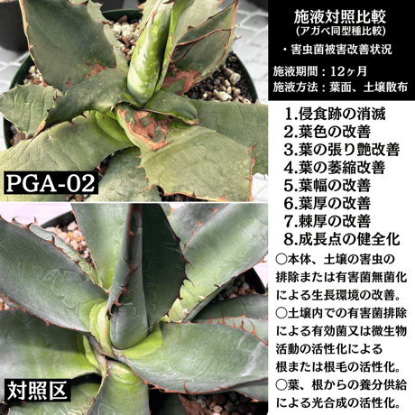 ✴︎極みローテ✴︎ PGA-01×PGA-02セット