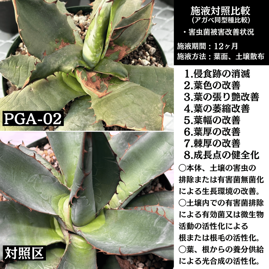 65c7b7568fd8877d60cc4f63