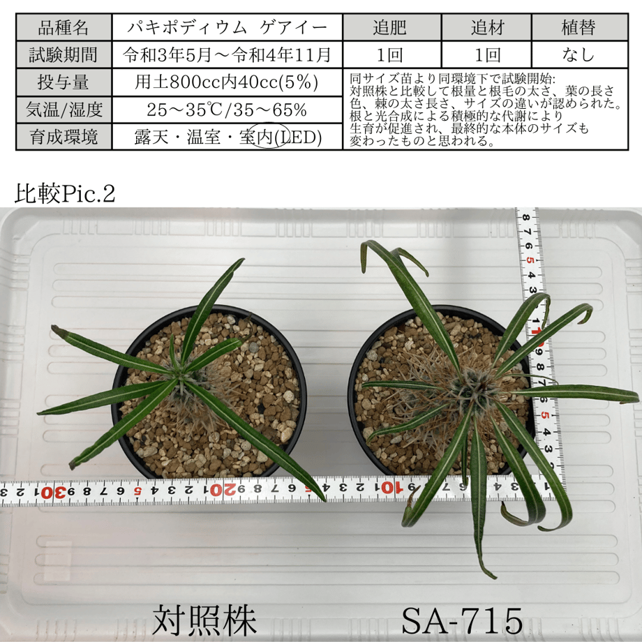63dd532cd1912306f477829b