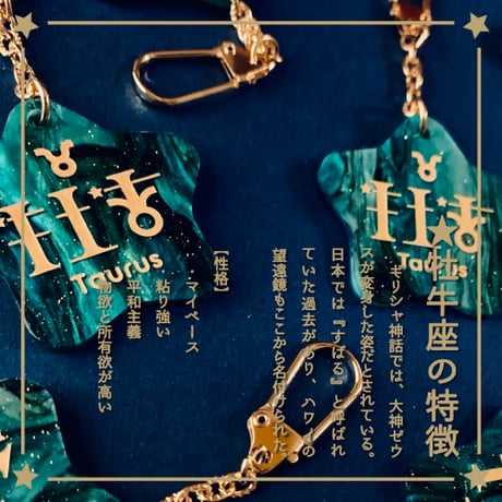 星YourSignキーホルダー