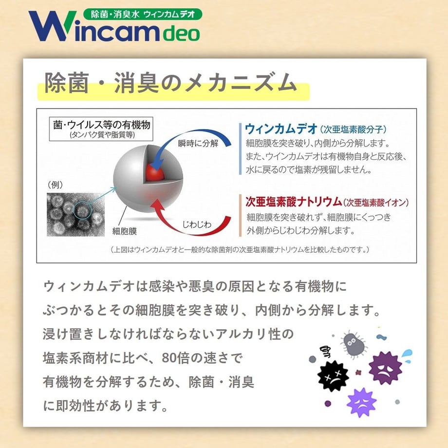 5fe59e508a45722bd050075d