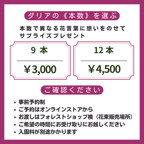 【9月23日（水祝）】サプライズダリアブーケ《ダリアとガーデンマム祭会場内での受取》