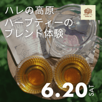 【6月20日】ブレンドハーブティーワークショップ 《森と花の絵本ミュージアムGarden Lei》