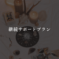 継続個別サポートプラン（月額課金）