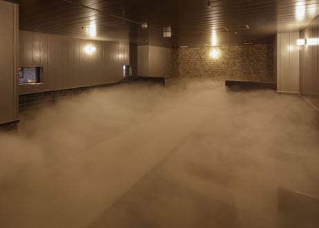 D【日曜日・祝日（翌日が平日の場合）】ゆったり深夜滞在プラン（レンタルタオルセット＋ミネラルウォーター付き）